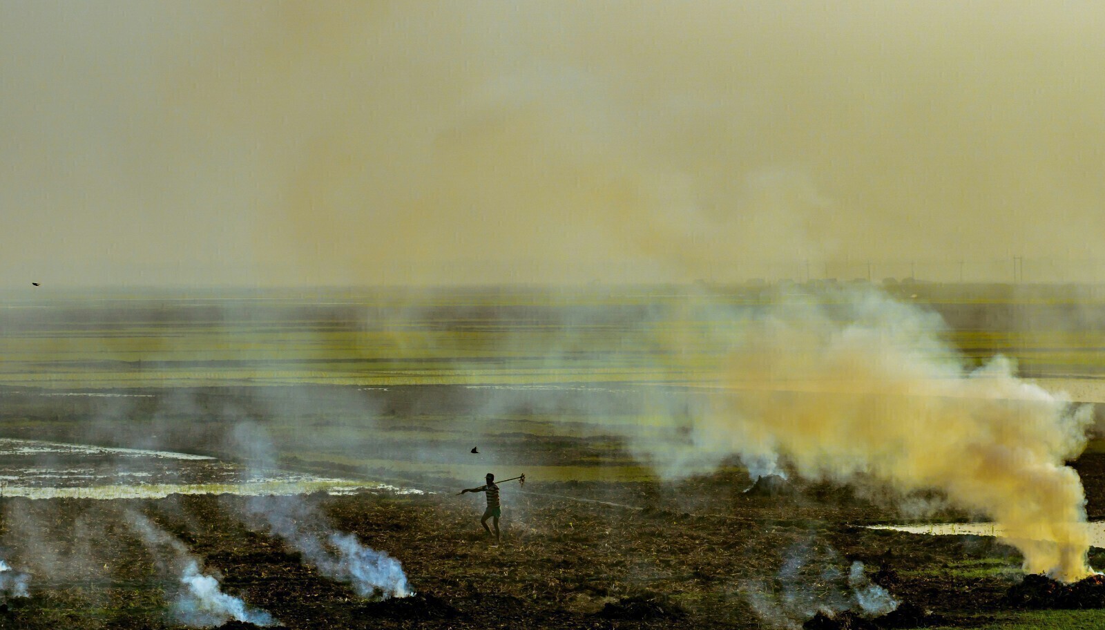 The Smoky Season The Smoky Season